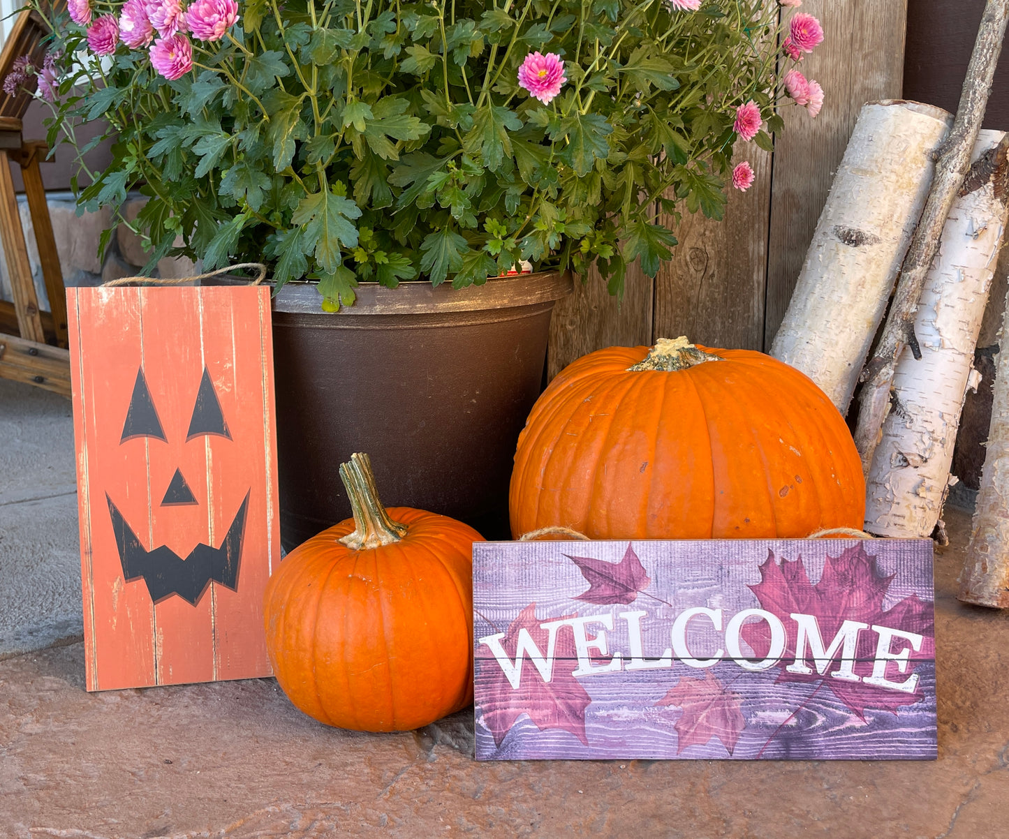 Signs For All Seasons